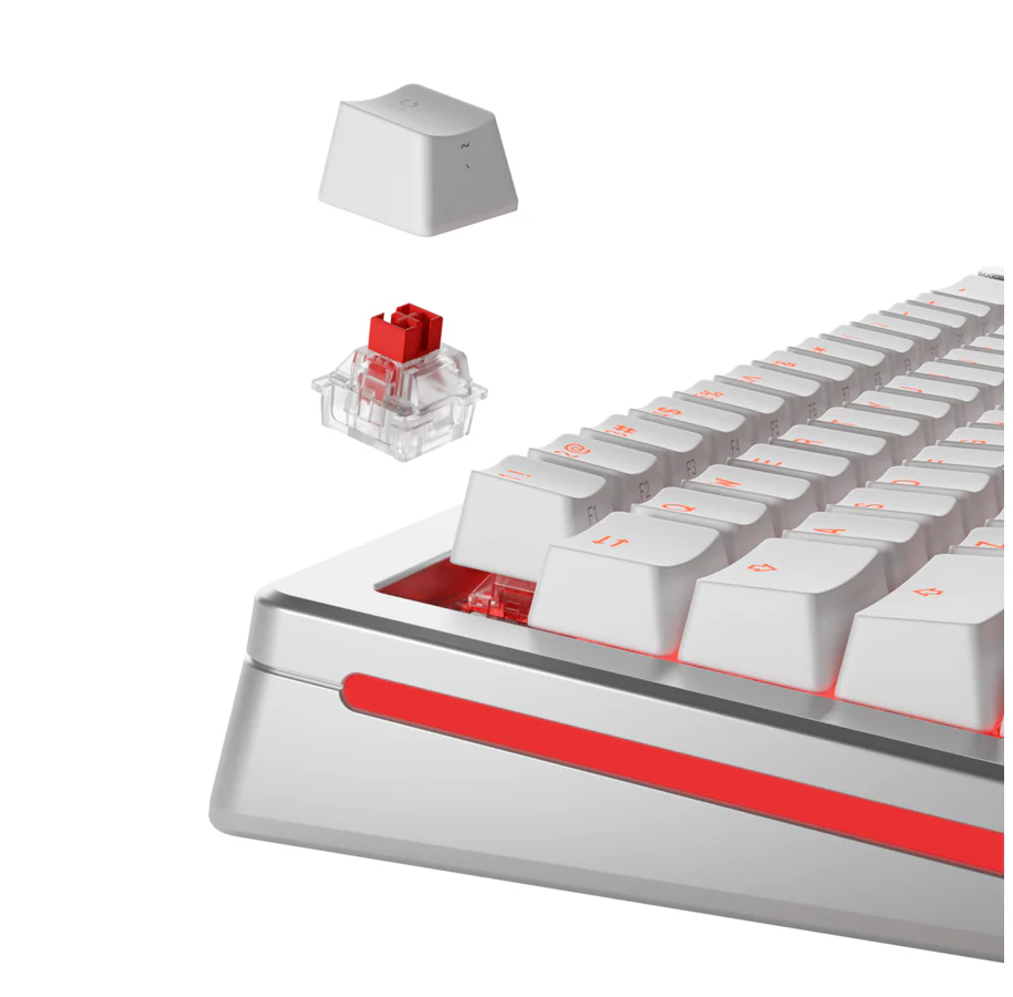 Glorious HE Switches (36 stk) - Fox- Lubed - [Linær] 45g